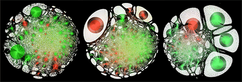 Figure caption
